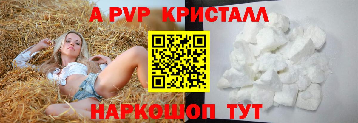 A-PVP СК КРИС  Вход с VPN  что такое наркотик  Брянск  Alpha-PVP VHQ  A PVP СК КРИС 