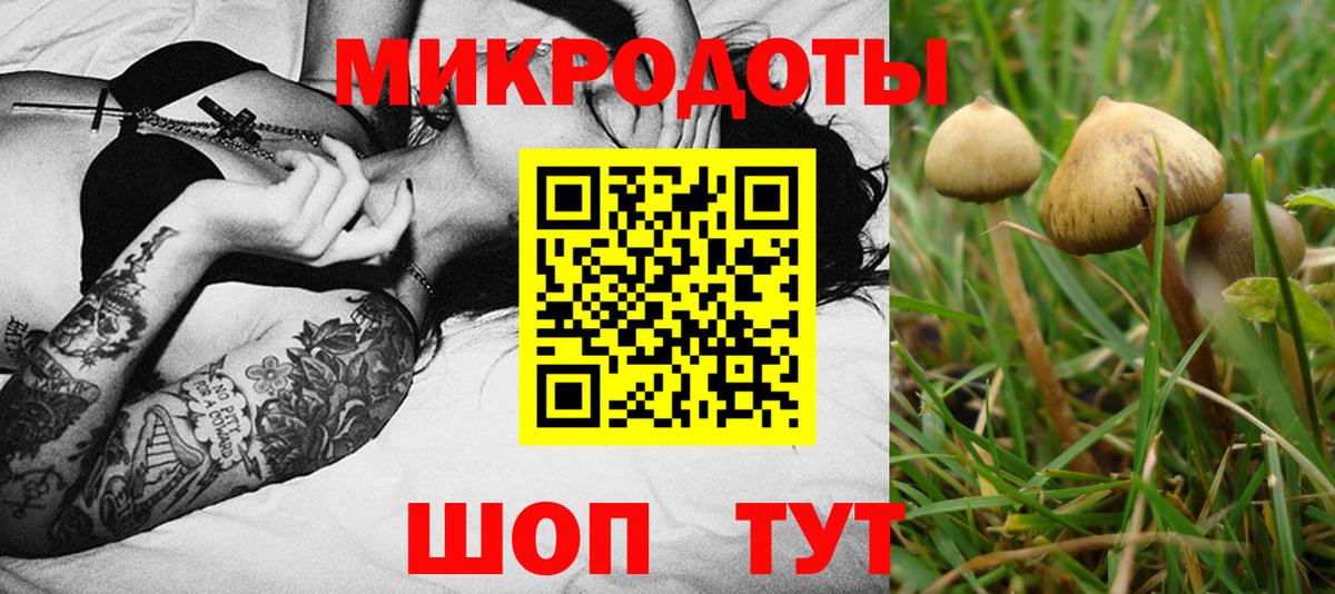 Галлюциногенные грибы мухоморы Брянск